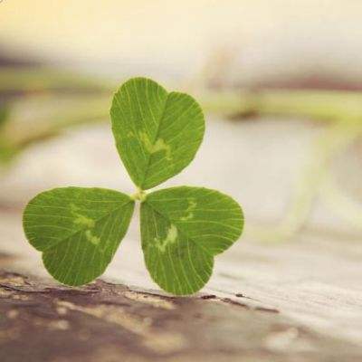 2023管家婆资料正版大全澳门手机app下载