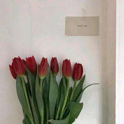 金博宝官网app下载